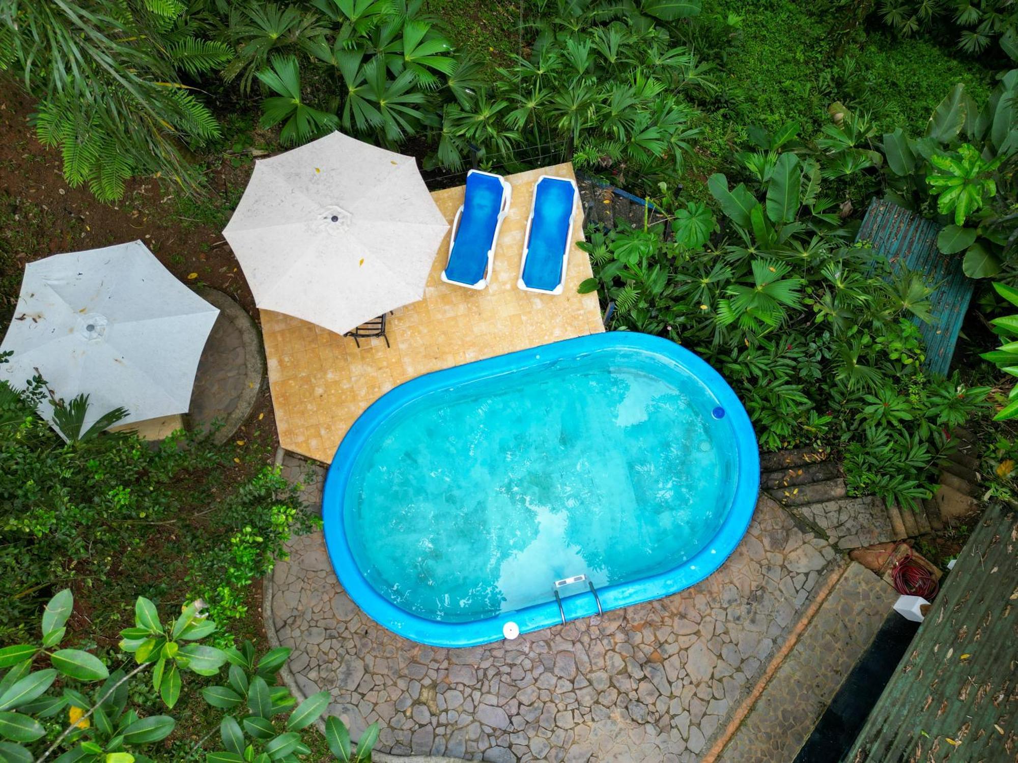 Matapalo  Casa Cedro - Portasol Vacation Rentals מראה חיצוני תמונה