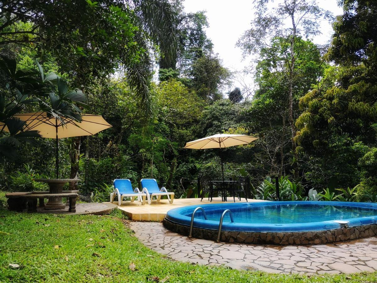 Matapalo  Casa Cedro - Portasol Vacation Rentals מראה חיצוני תמונה